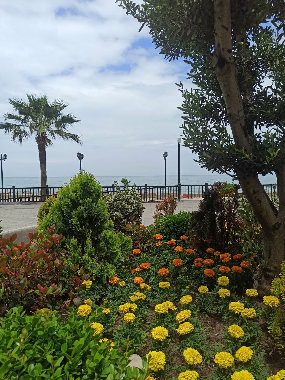 Квартира в Батуми, Грузия, 30.7 м² - фото 10