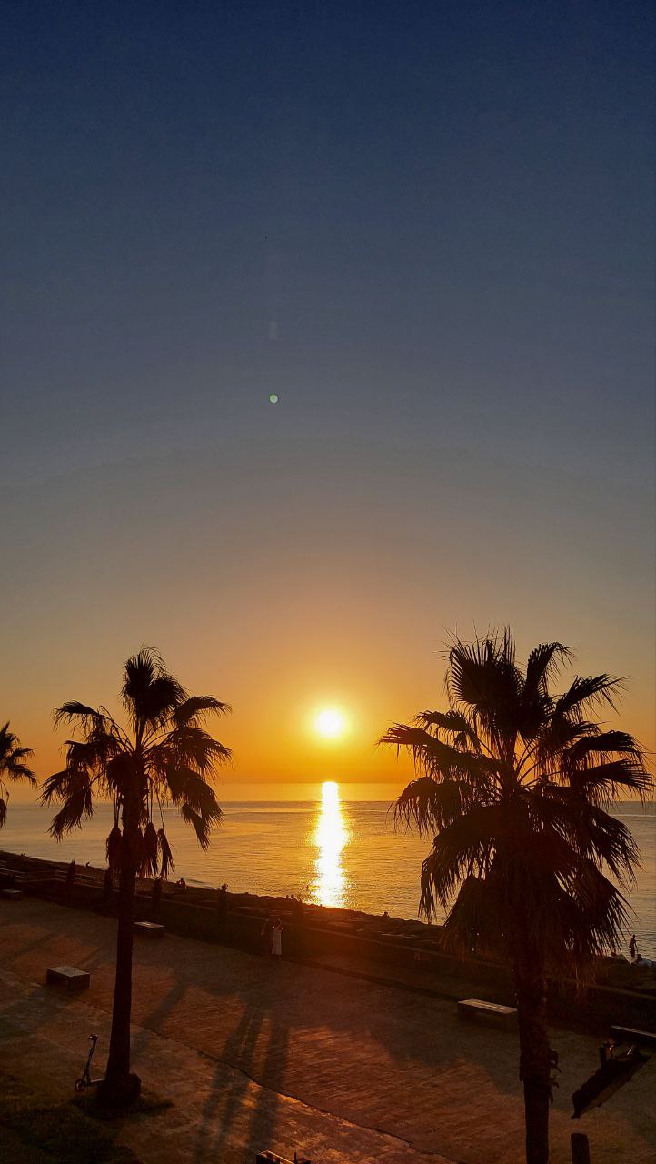 Квартира в Батуми, Грузия, 30.7 м² - фото 9