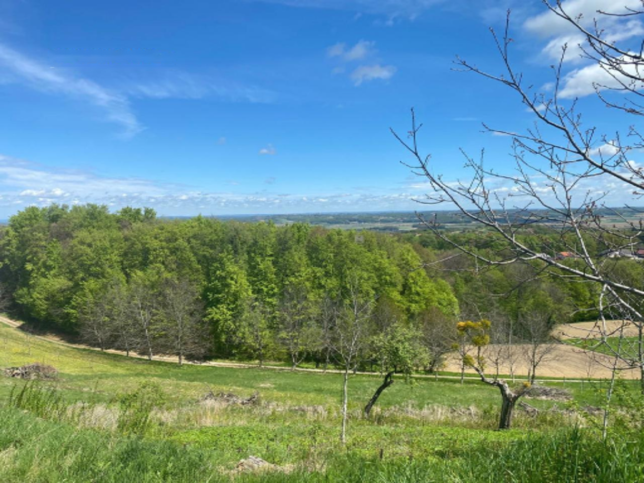 Дом в Дестрнике, Словения, 150 м² - фото 3