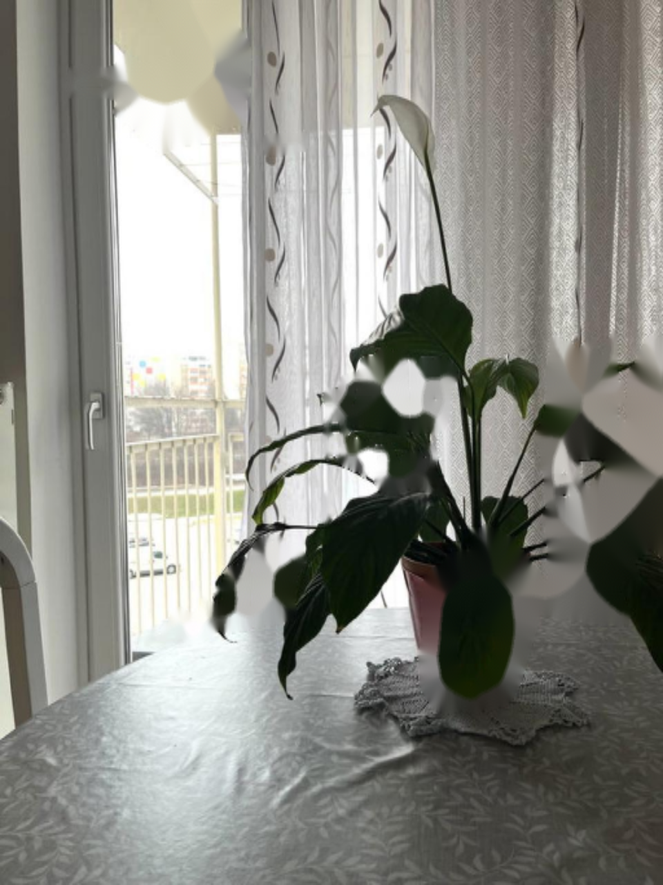 Квартира в Любляне, Словения, 32 м² - фото 4