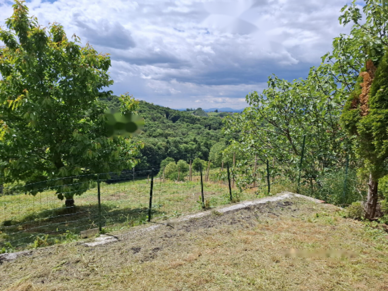 Дом в Птуе, Словения, 75 м² - фото 4