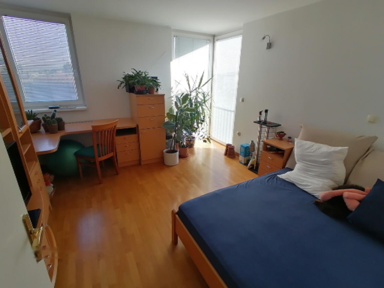 Квартира в Любляне, Словения, 149 м² - фото 7