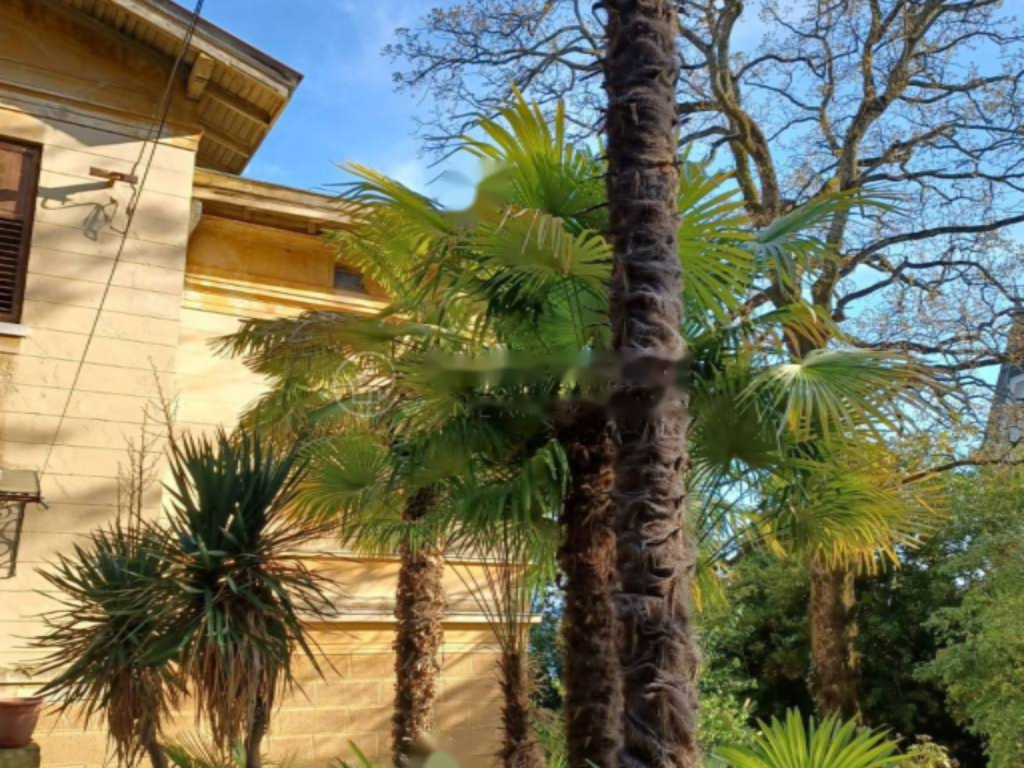 Дом в Опатии, Хорватия, 300 м² - фото 7