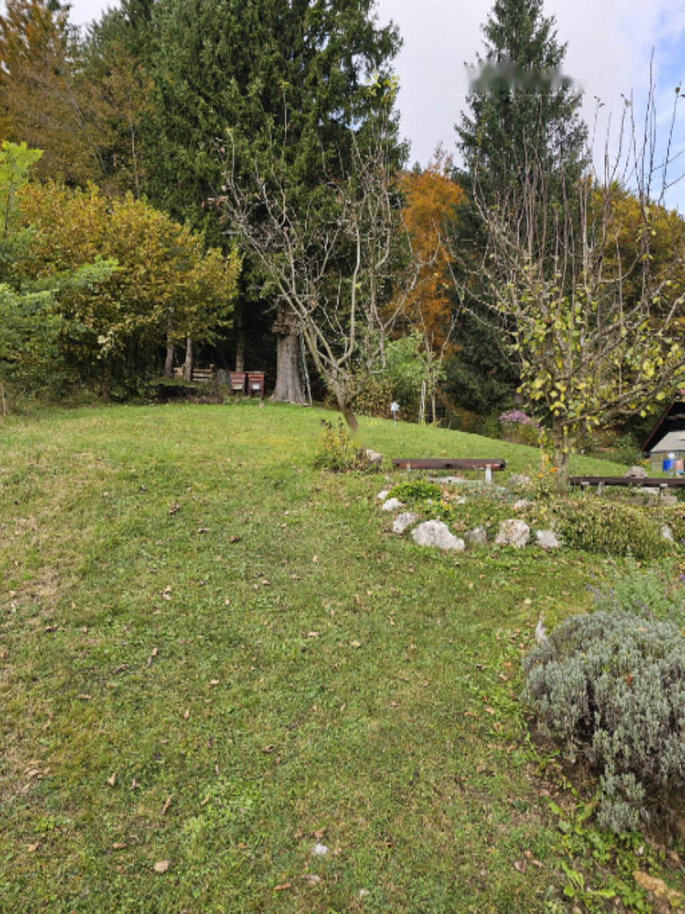 Дом в Есенице, Словения, 259 м² - фото 7