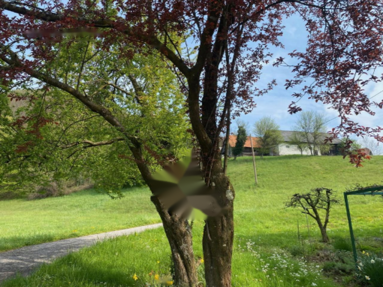 Дом в Птуе, Словения, 52 м² - фото 14