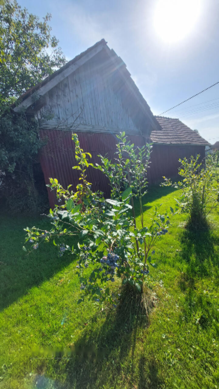 Дом в Лютомере, Словения, 59 м² - фото 19