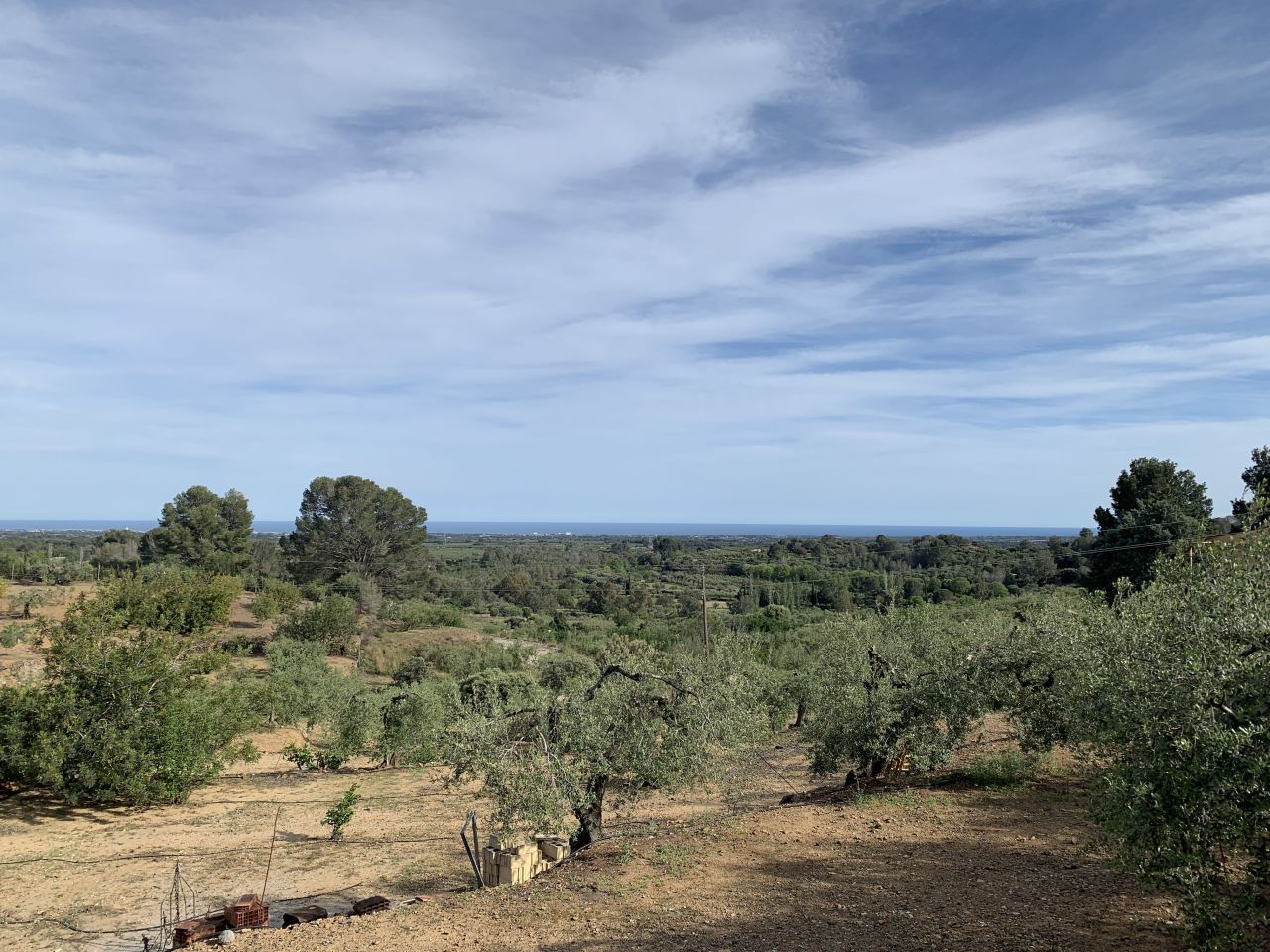 Дом в Монбрио-дель-Камп, Испания, 324 м² - фото 15