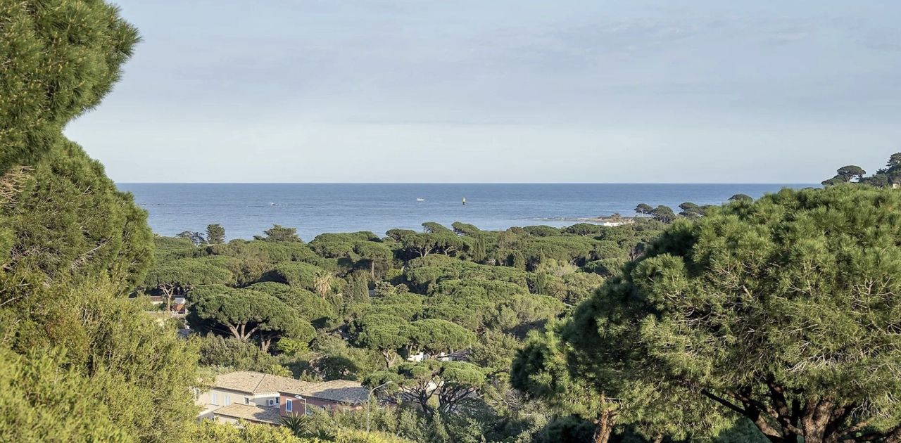 Инвестиционный проект в Сен-Тропе, Франция, 440 м² - фото 2