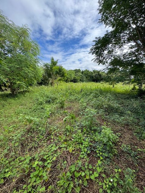 Земля в Сосуа, Доминиканская Республика, 1 086 м² - фото 2