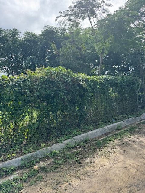 Земля в Сосуа, Доминиканская Республика, 1 086 м² - фото 3