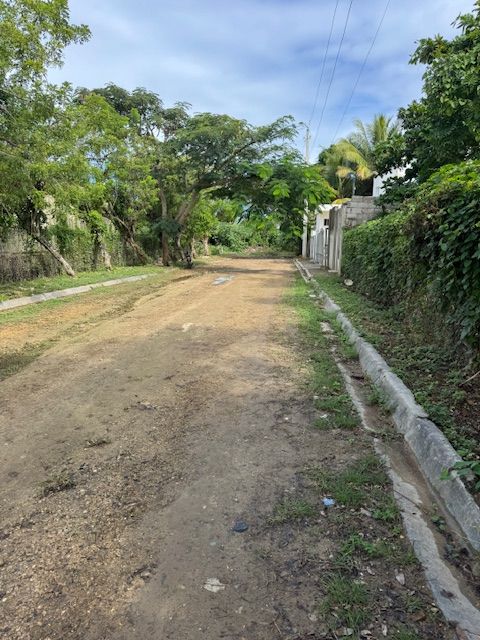 Земля в Сосуа, Доминиканская Республика, 1 086 м² - фото 4