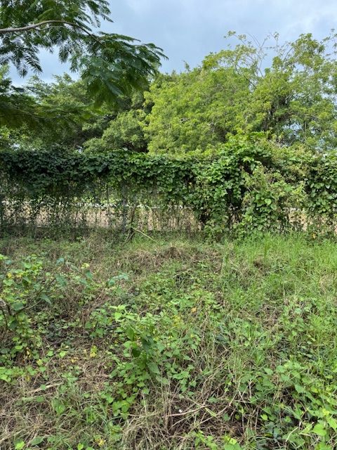 Земля в Сосуа, Доминиканская Республика, 1 086 м² - фото 6