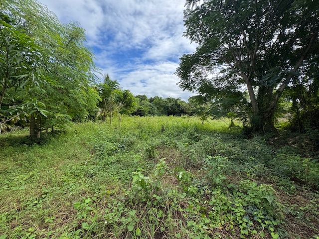 Земля в Сосуа, Доминиканская Республика, 1 086 м² - фото 7