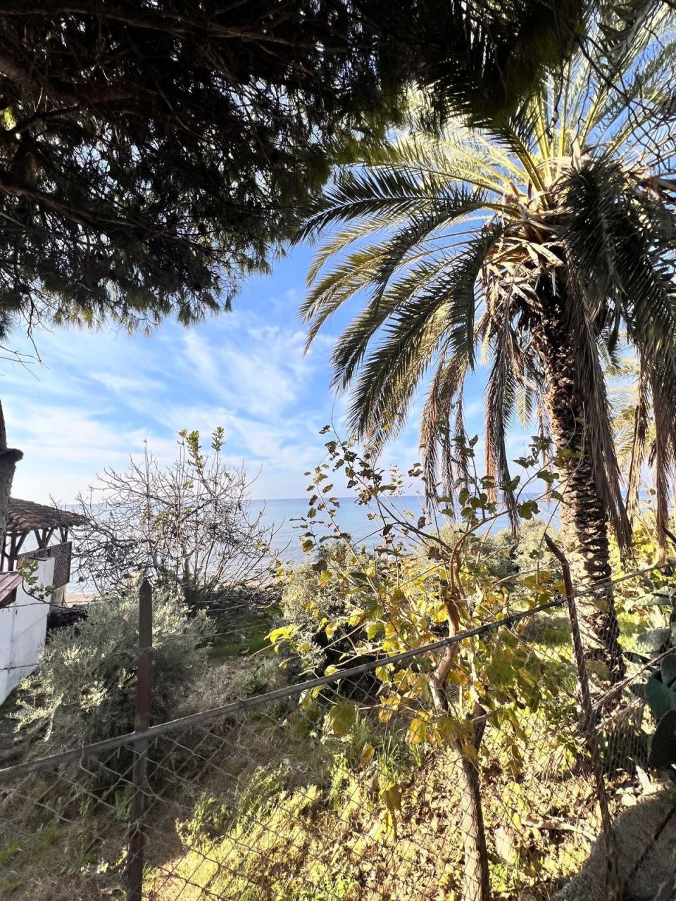 Земля в Алании, Турция, 2 288 м² - фото 4