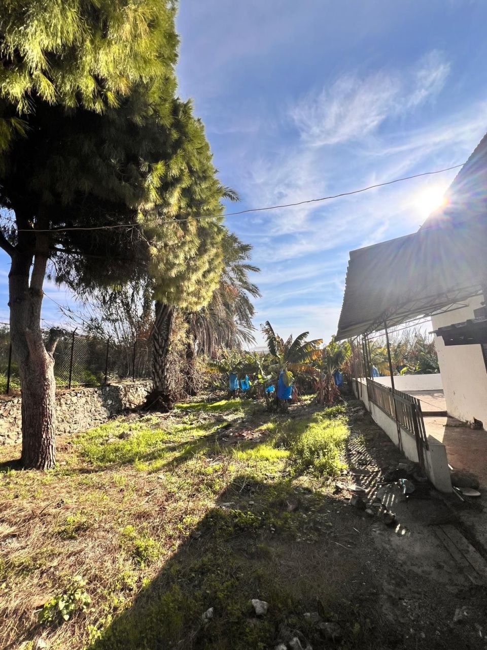 Земля в Алании, Турция, 2 288 м² - фото 5