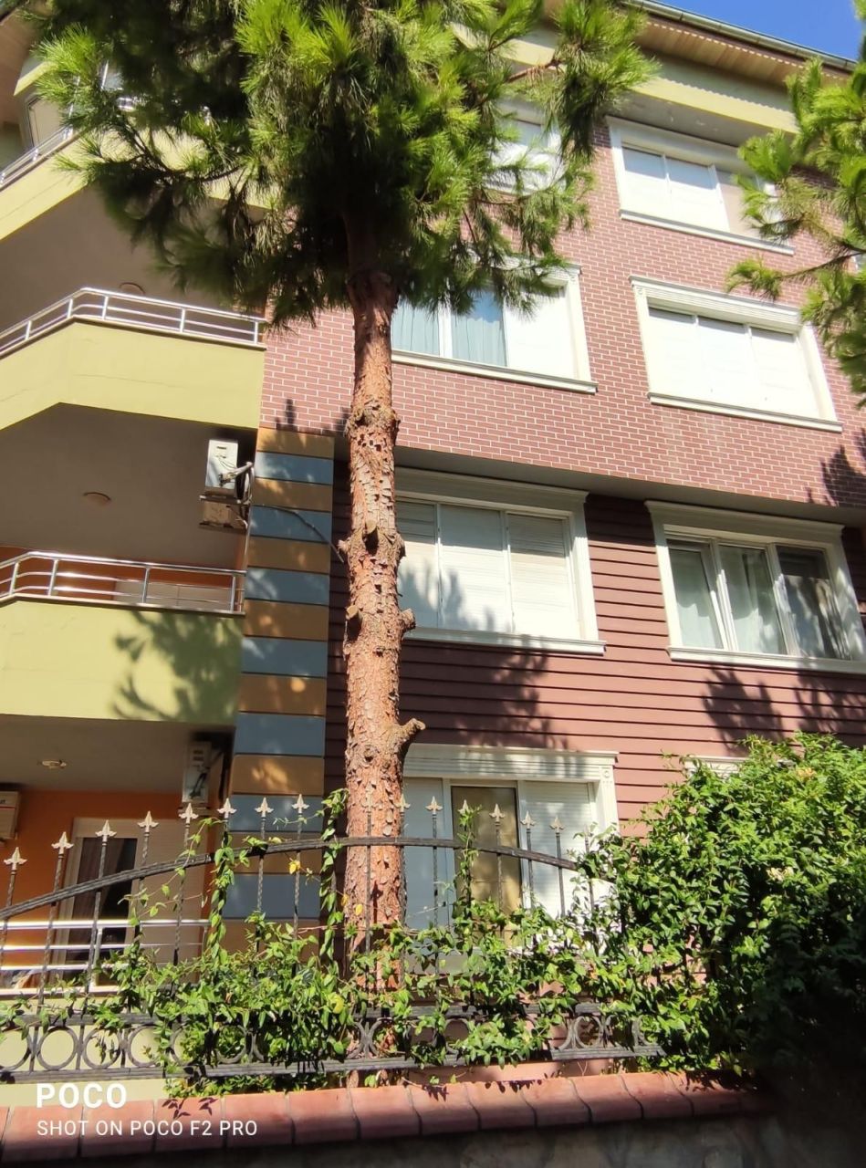 Квартира в Алании, Турция, 100 м² - фото 3