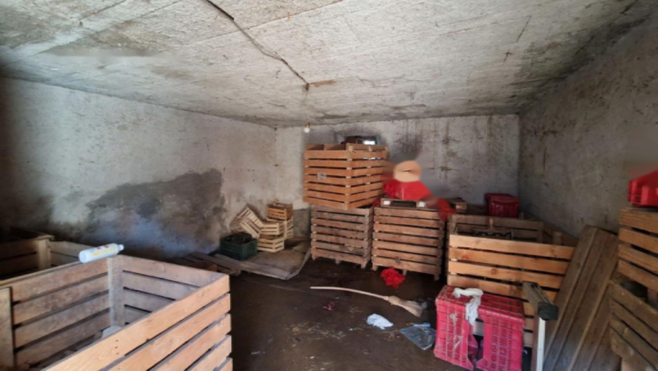 Дом в Илирске-Бистрице, Словения, 121 м² - фото 6