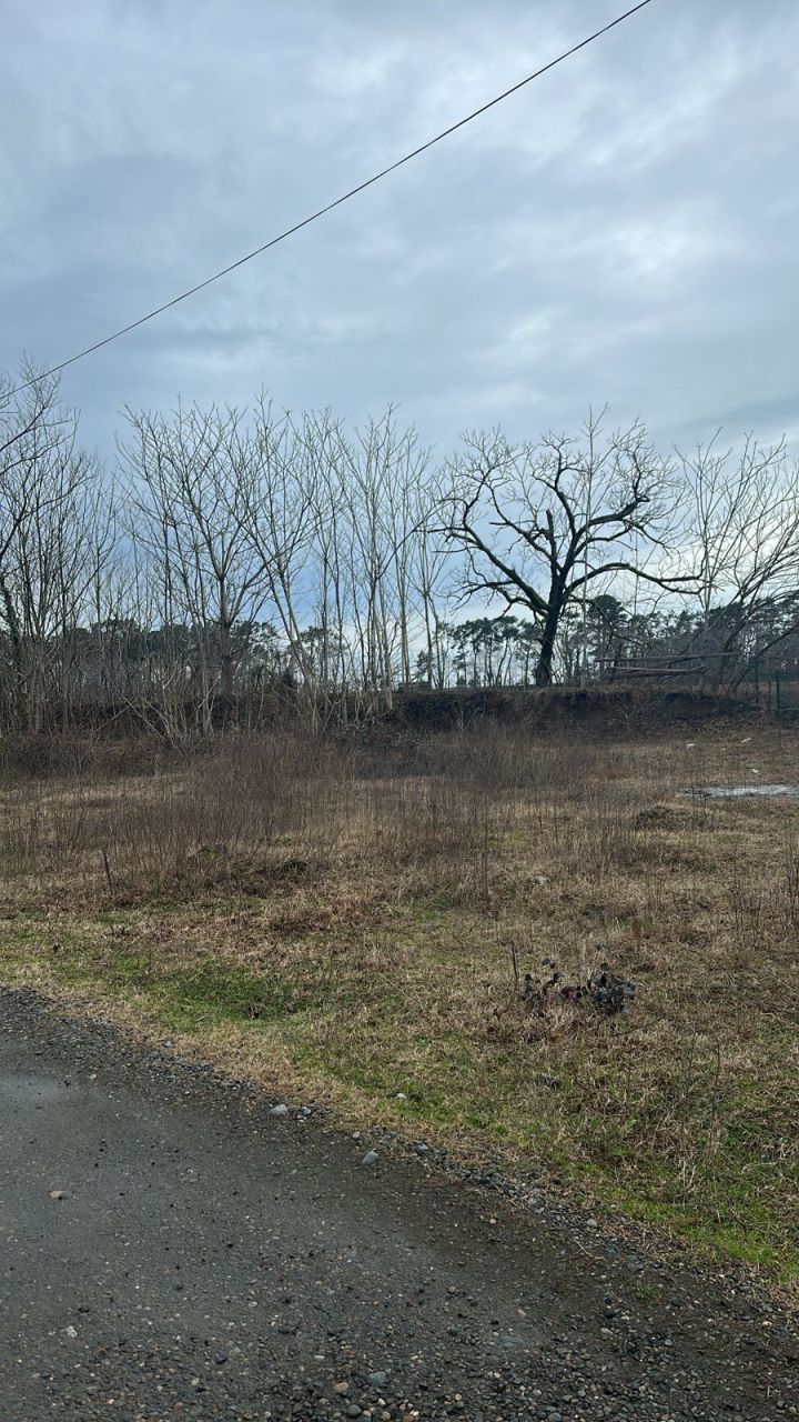 Земля в Батуми, Грузия, 2 500 м² - фото 5