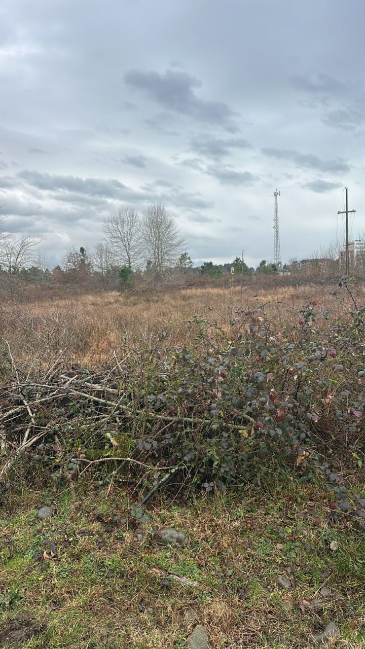 Земля в Батуми, Грузия, 2 500 м² - фото 7