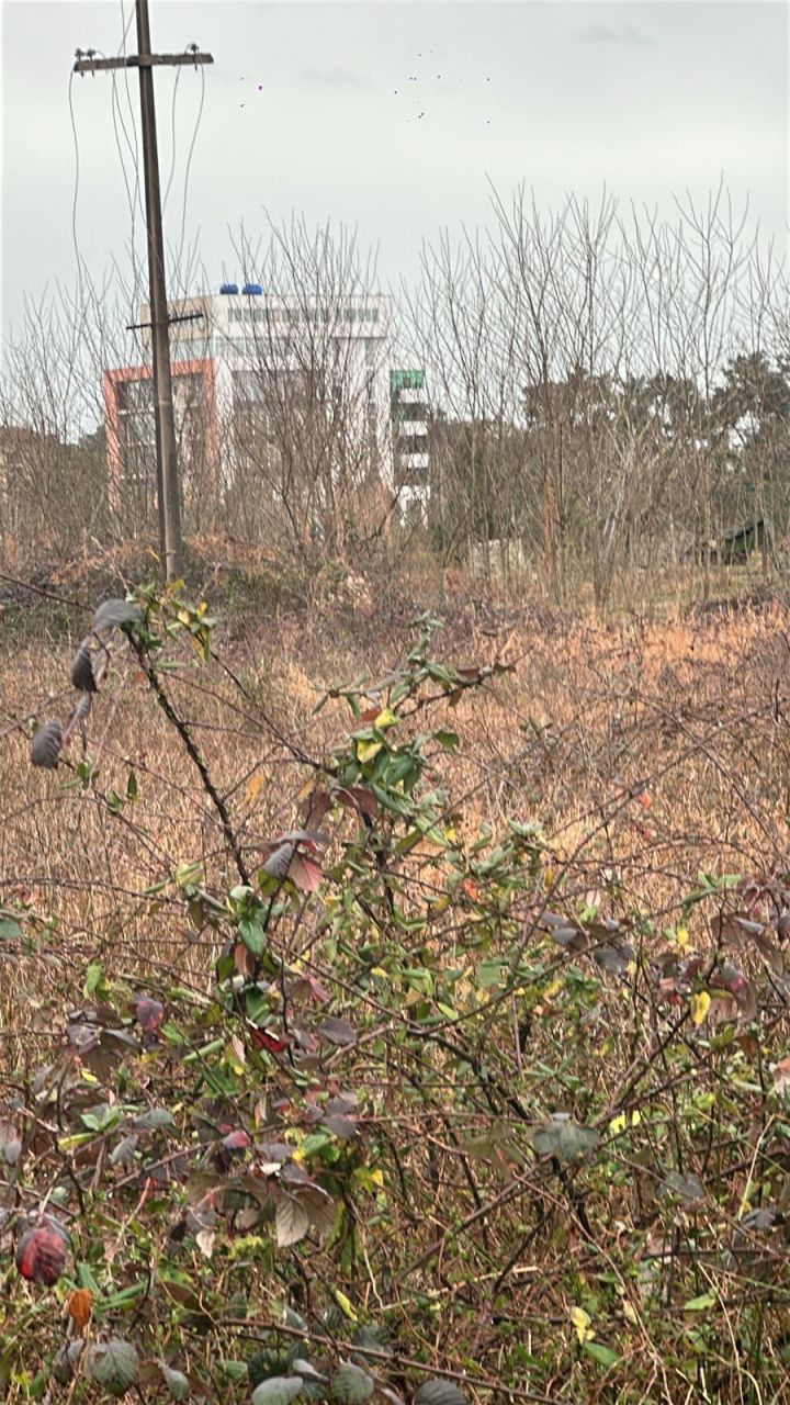 Земля в Батуми, Грузия, 2 500 м² - фото 8