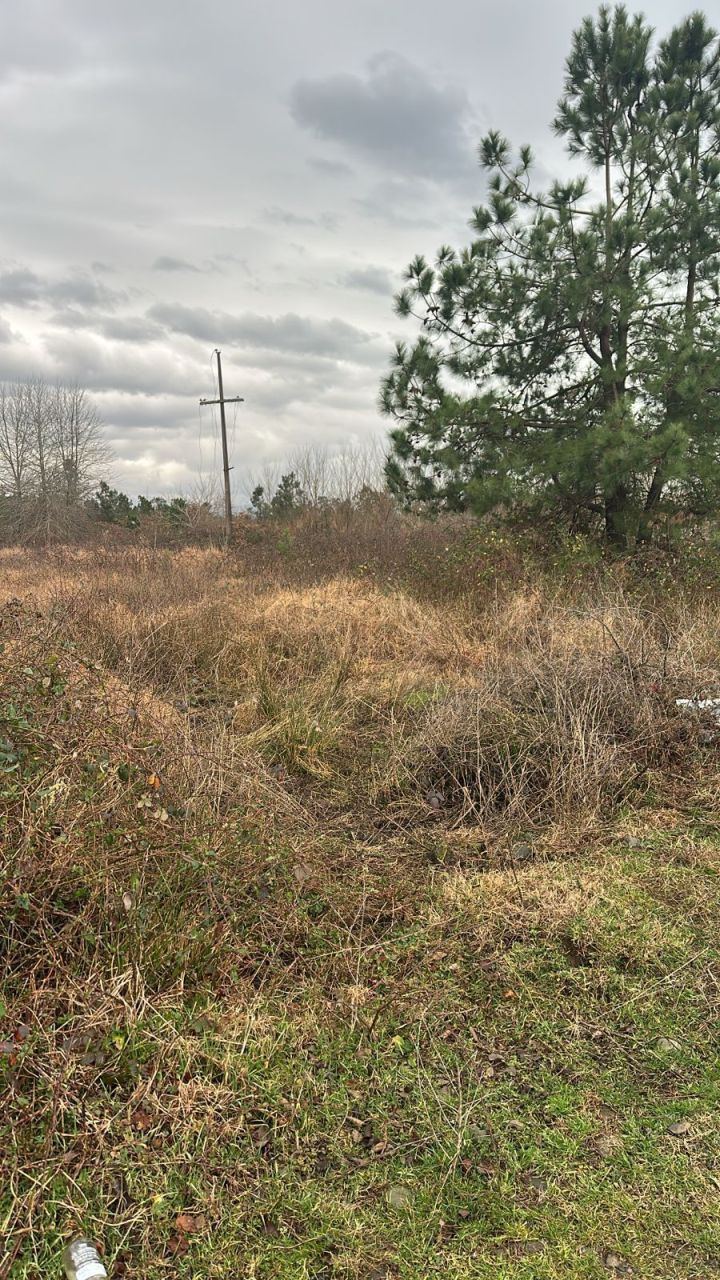 Земля в Батуми, Грузия, 2 500 м² - фото 4