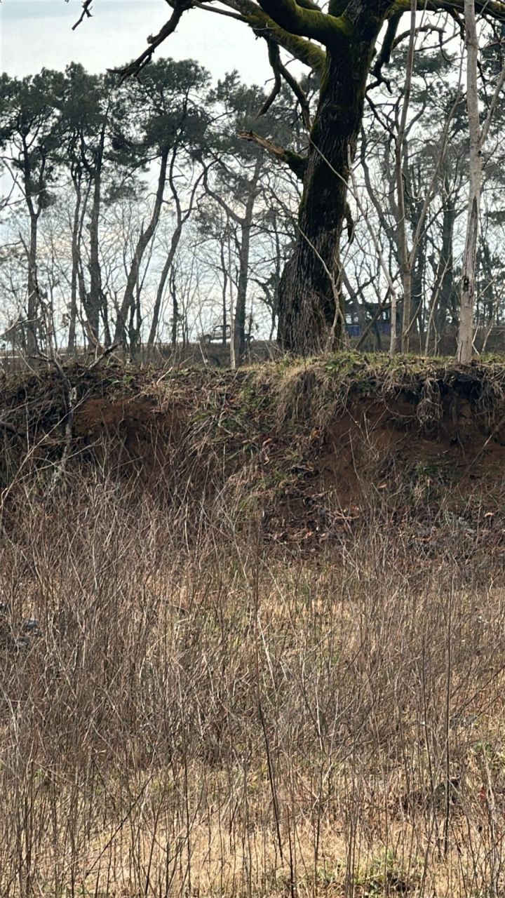 Земля в Батуми, Грузия, 2 500 м² - фото 6