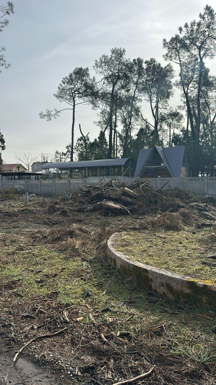 Земля в Батуми, Грузия, 3 000 м² - фото 2