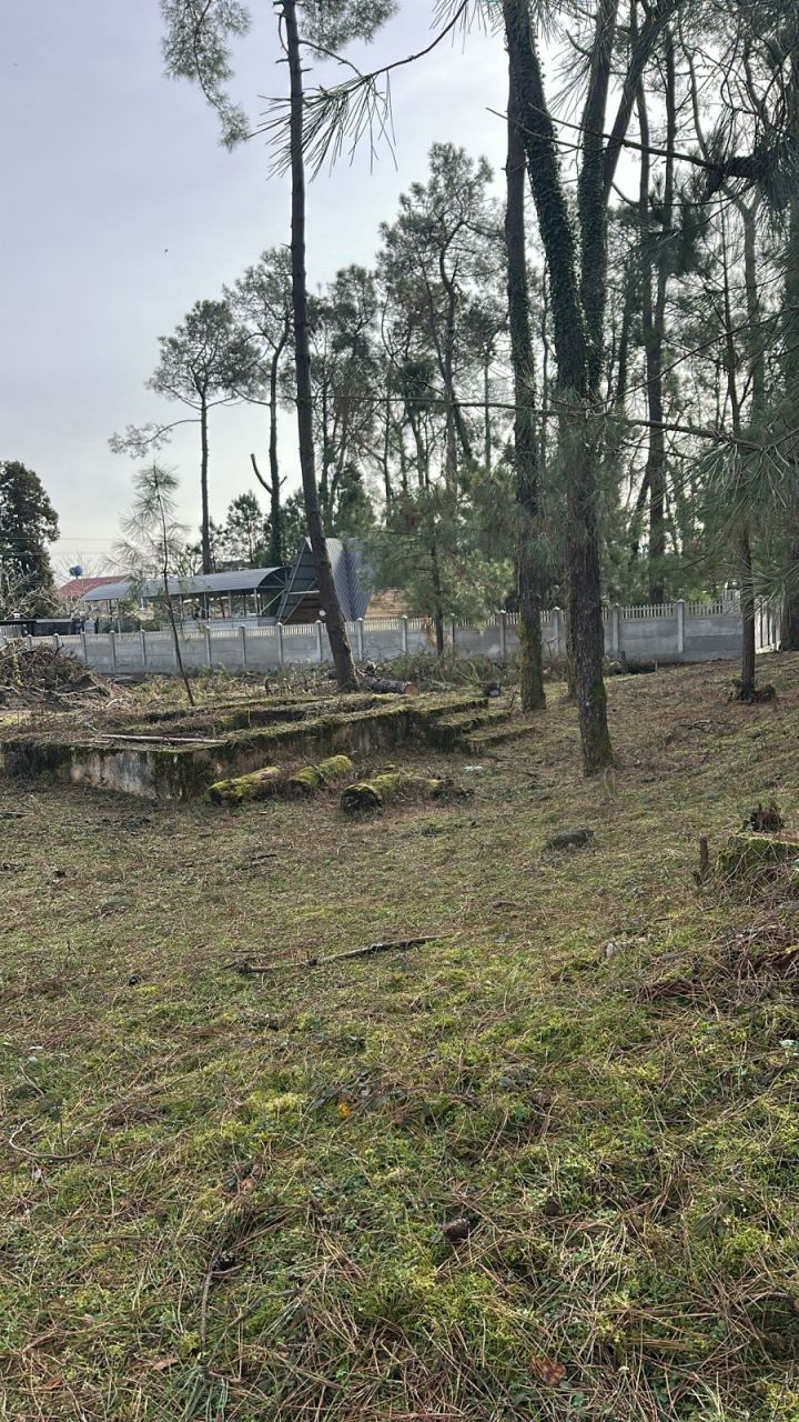 Земля в Батуми, Грузия, 3 000 м² - фото 3