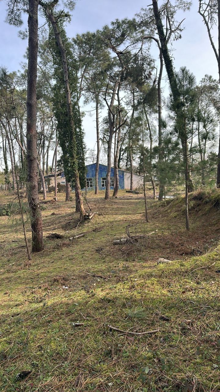 Земля в Батуми, Грузия, 3 000 м² - фото 7