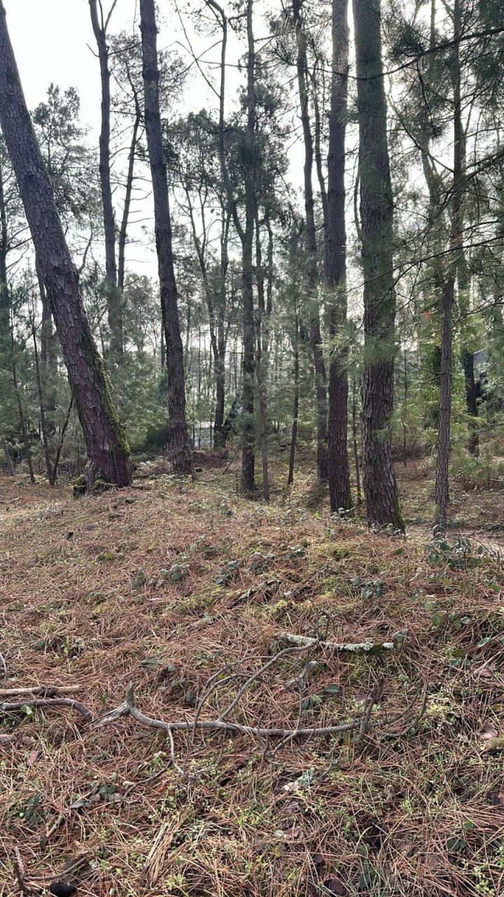 Земля в Батуми, Грузия, 3 000 м² - фото 6