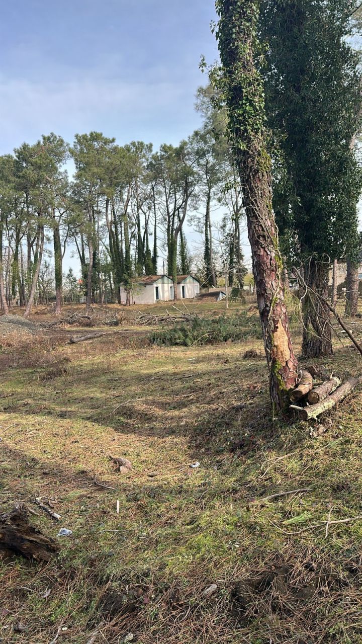 Земля в Батуми, Грузия, 3 000 м² - фото 4