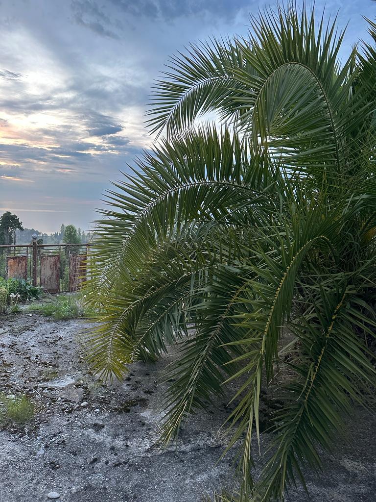 Дом в Батуми, Грузия, 200 м² - фото 15