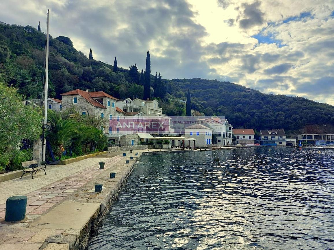 Земля в Розе, Черногория, 4 866 м² - фото 2