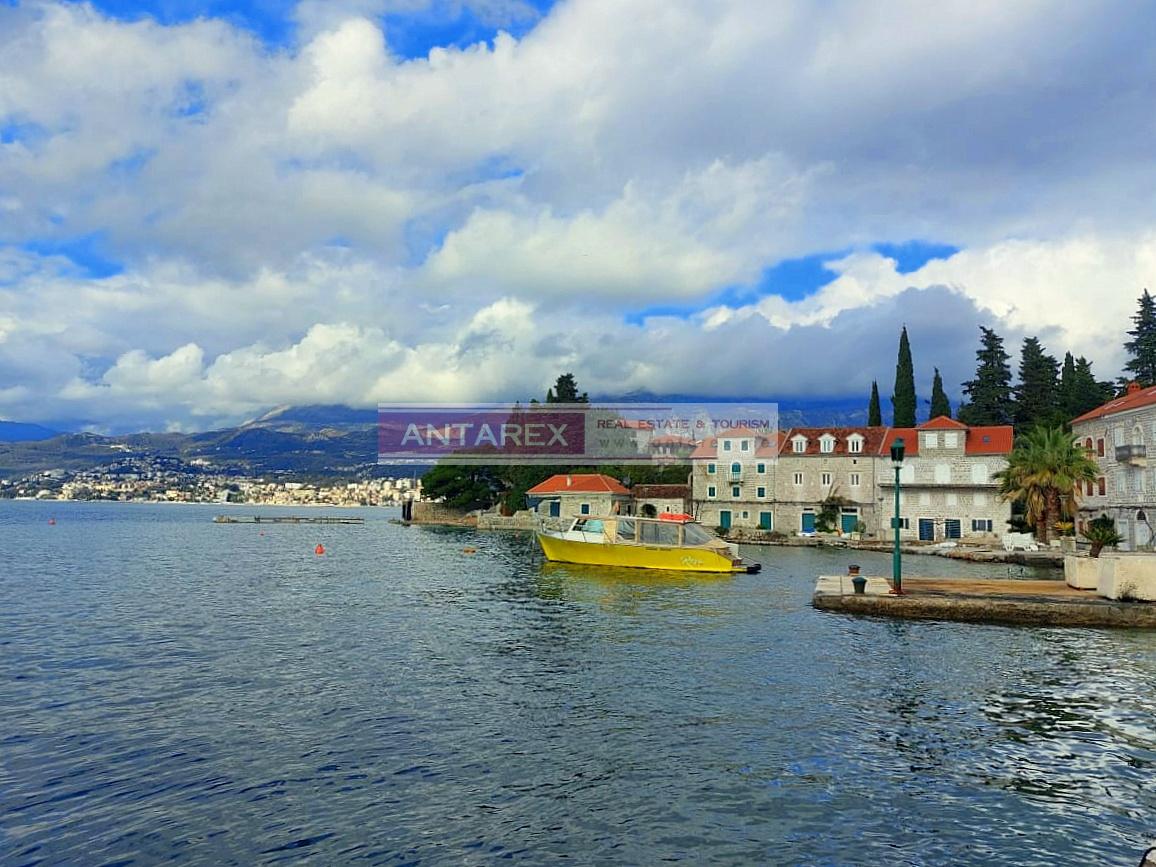 Земля в Розе, Черногория, 4 866 м² - фото 3