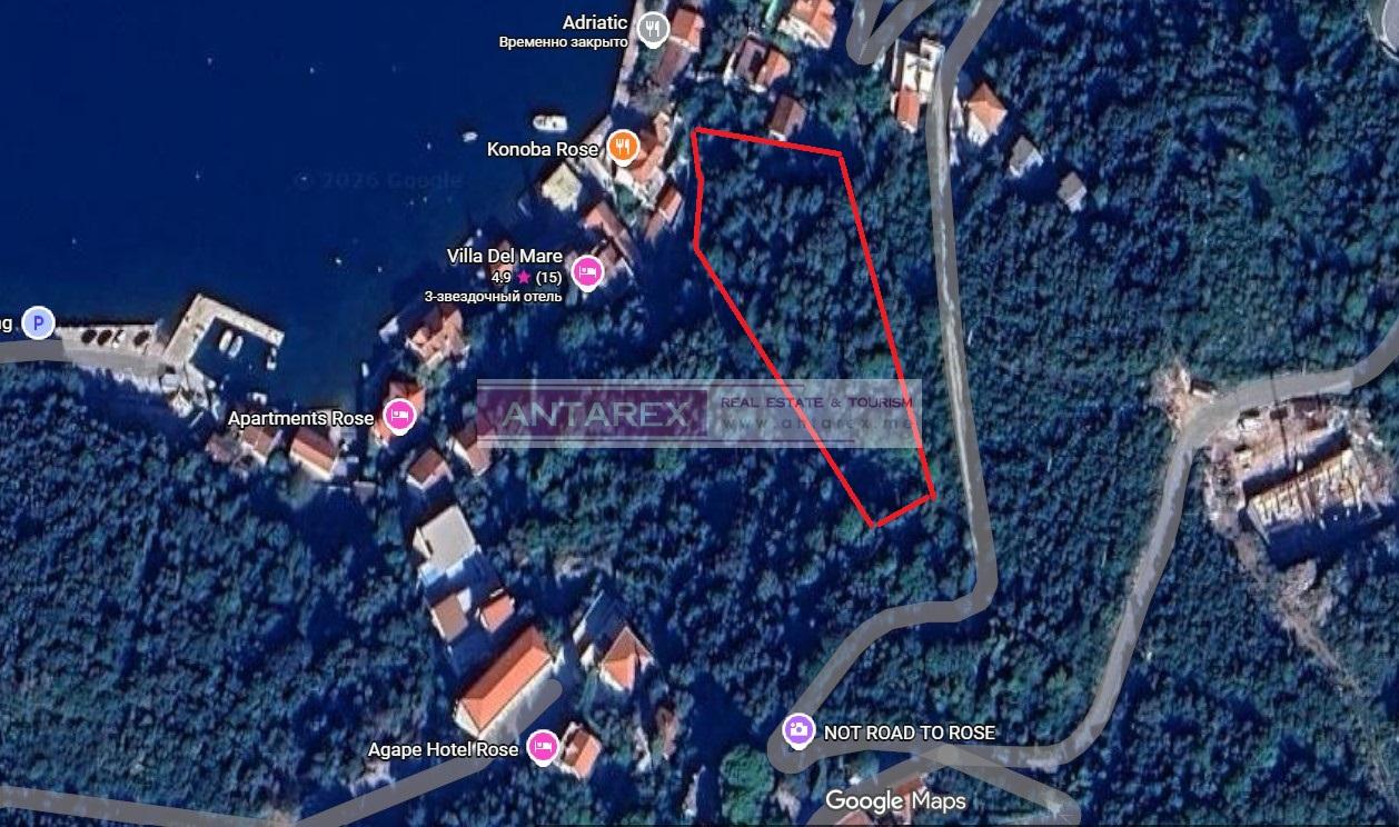 Земля в Розе, Черногория, 4 866 м² - фото 5