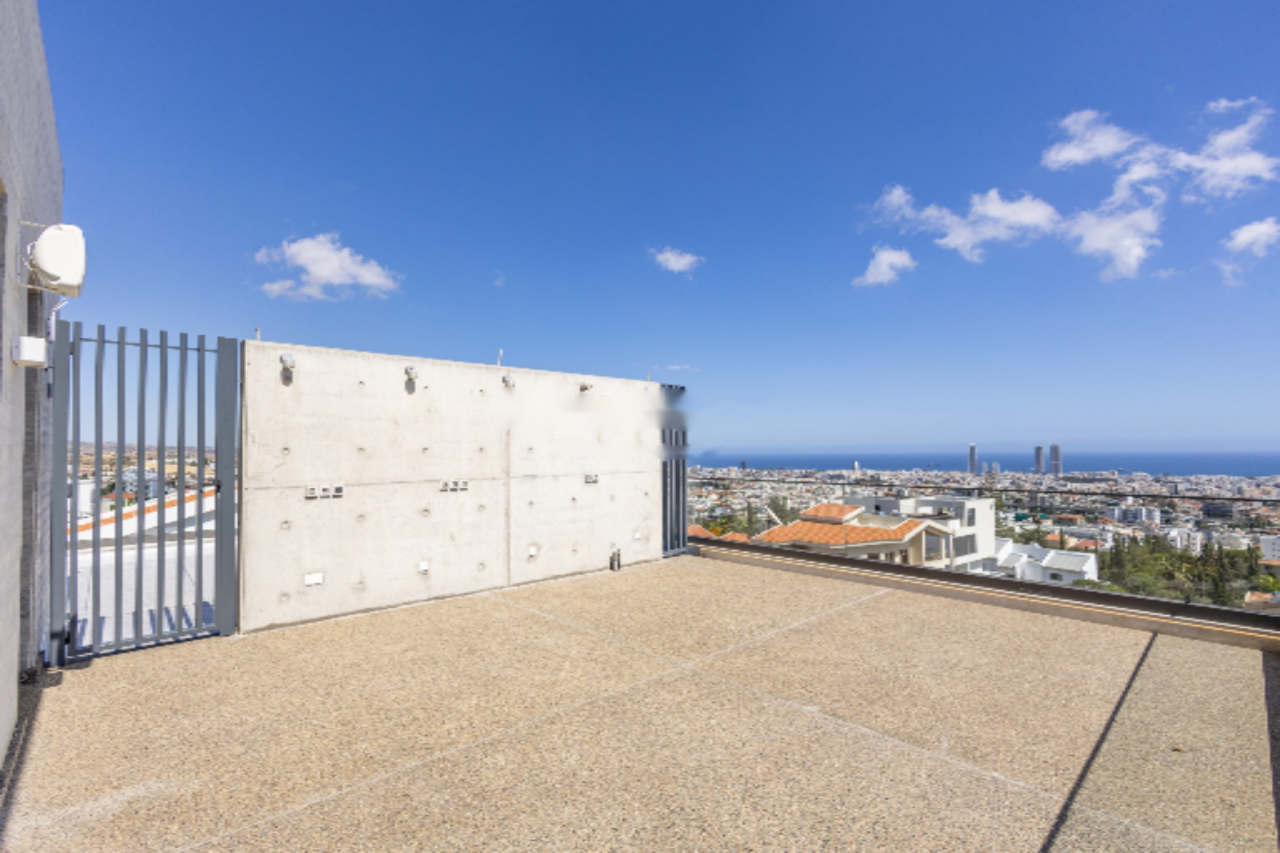 Квартира в Меса-Йитонии, Кипр, 328 м² - фото 10