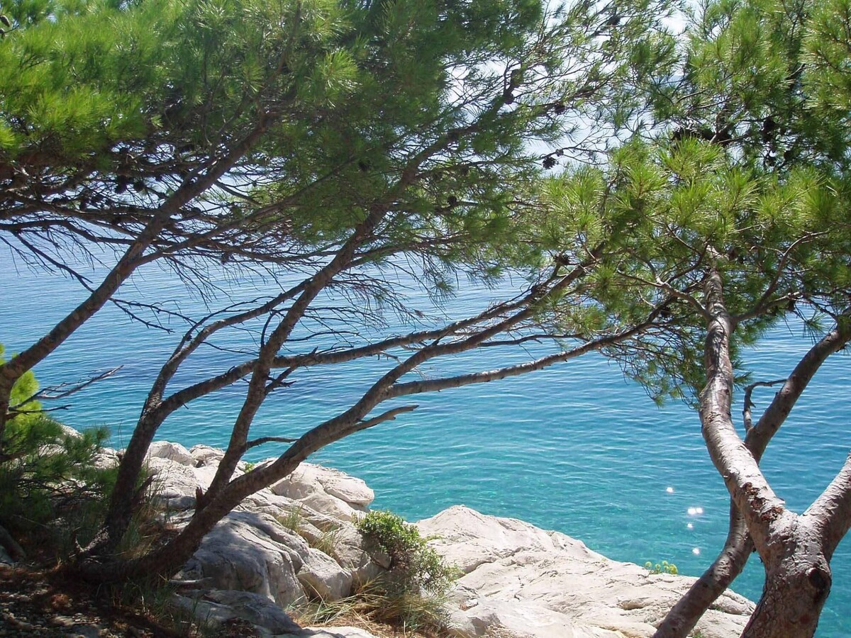 Отель, гостиница Pisak, Хорватия, 183 м² - фото 2