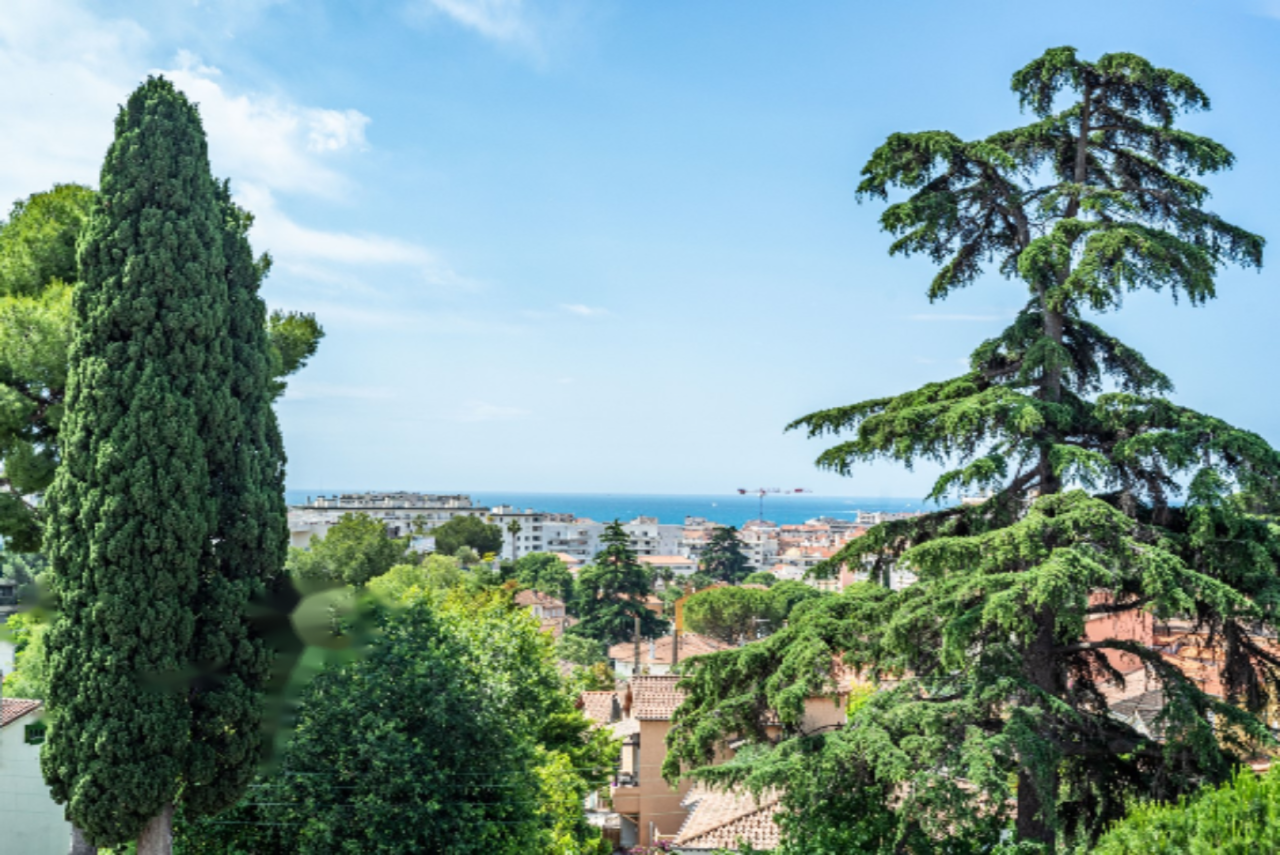 Квартира в Каннах, Франция, 451 м² - фото 7