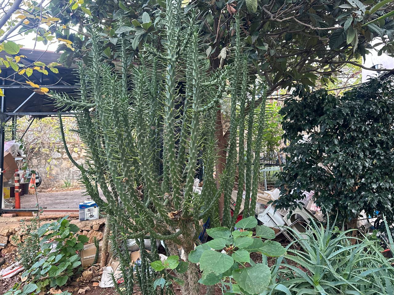 Вилла в Алании, Турция, 240 м² - фото 7