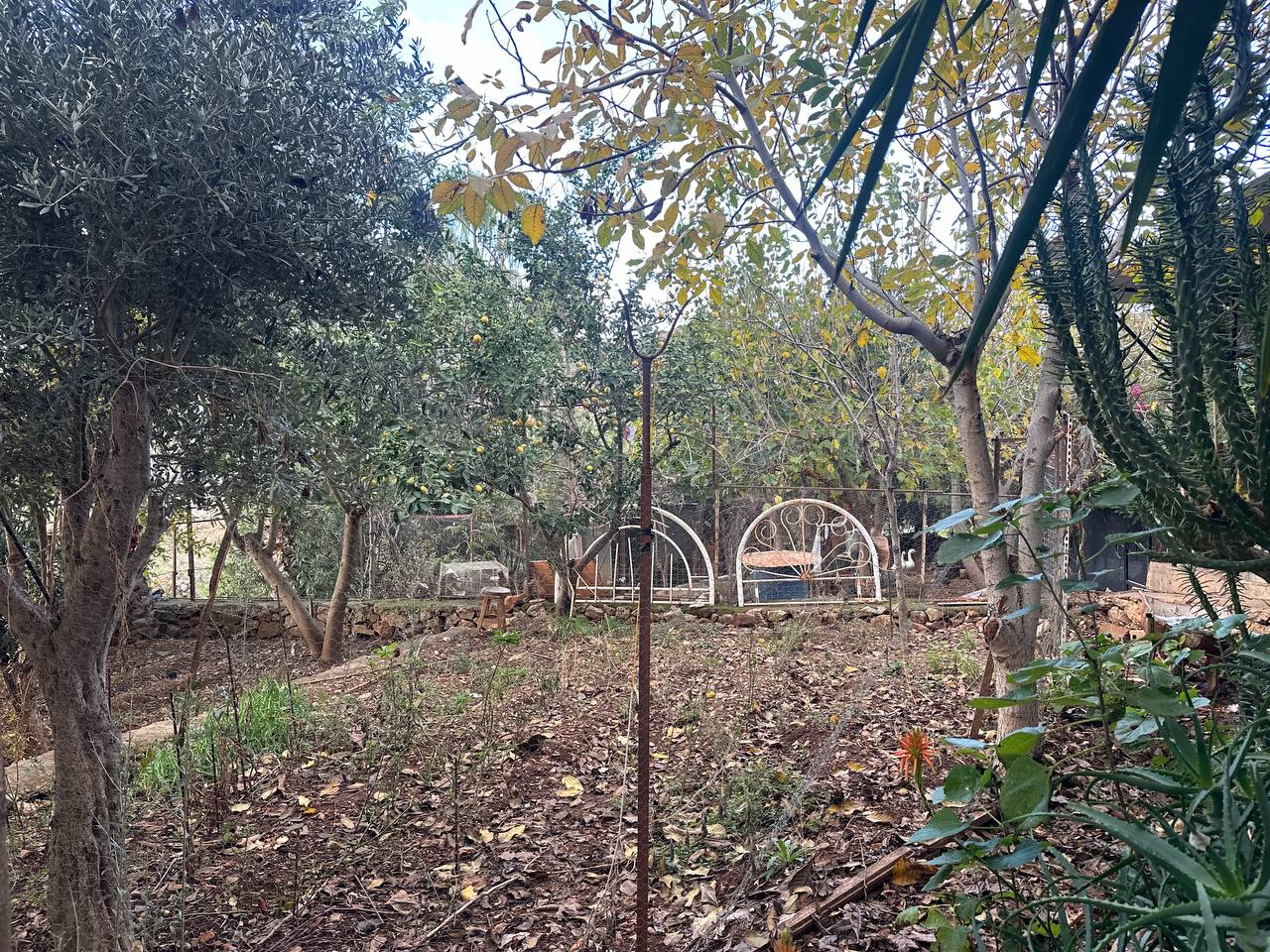 Вилла в Алании, Турция, 240 м² - фото 8