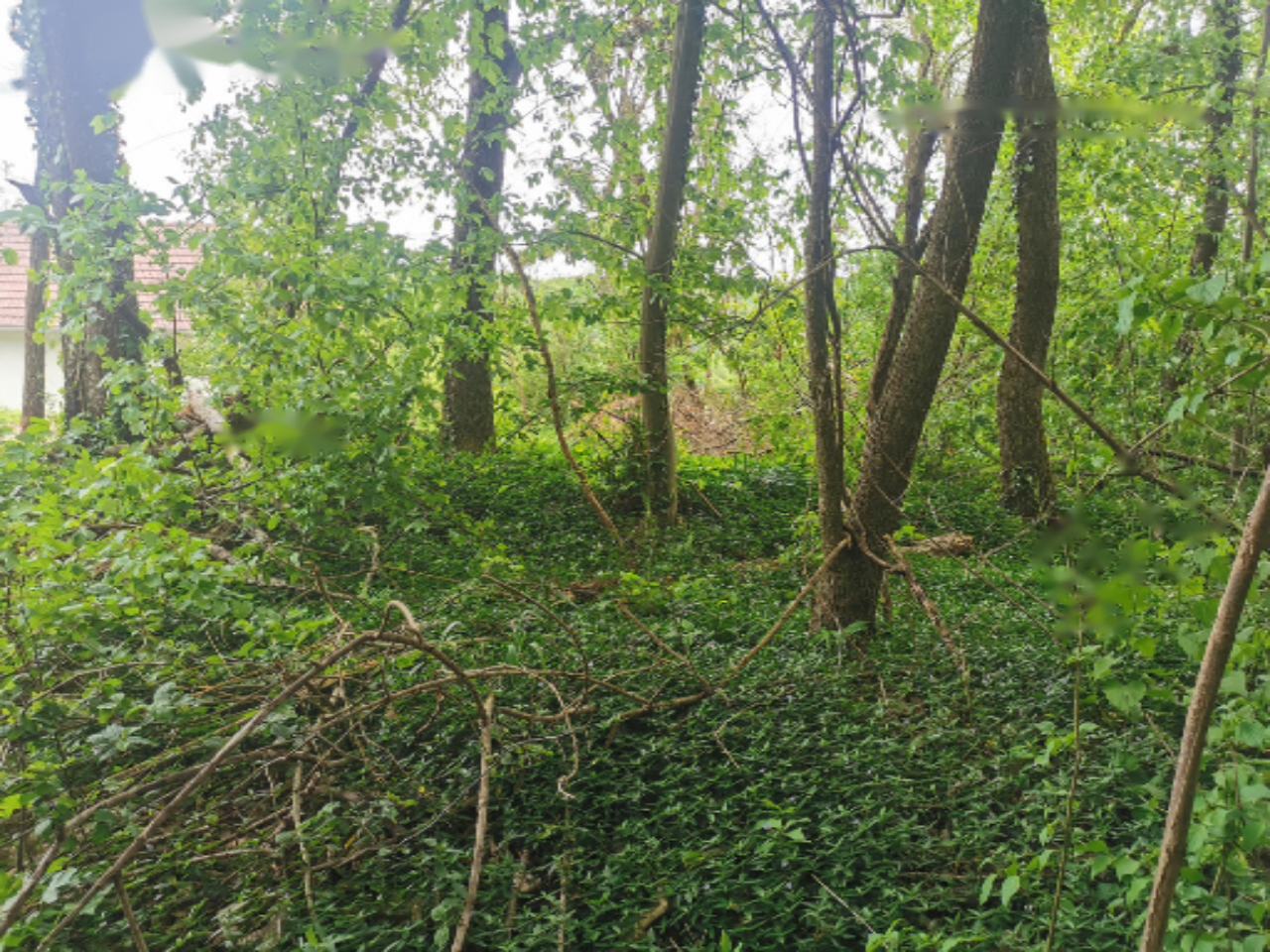 Дом в Ленарте, Словения, 79 м² - фото 12