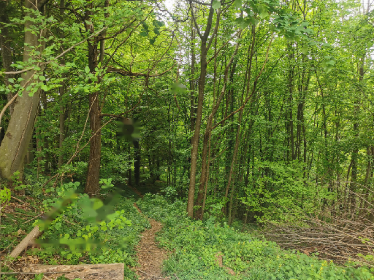 Дом в Ленарте, Словения, 79 м² - фото 14