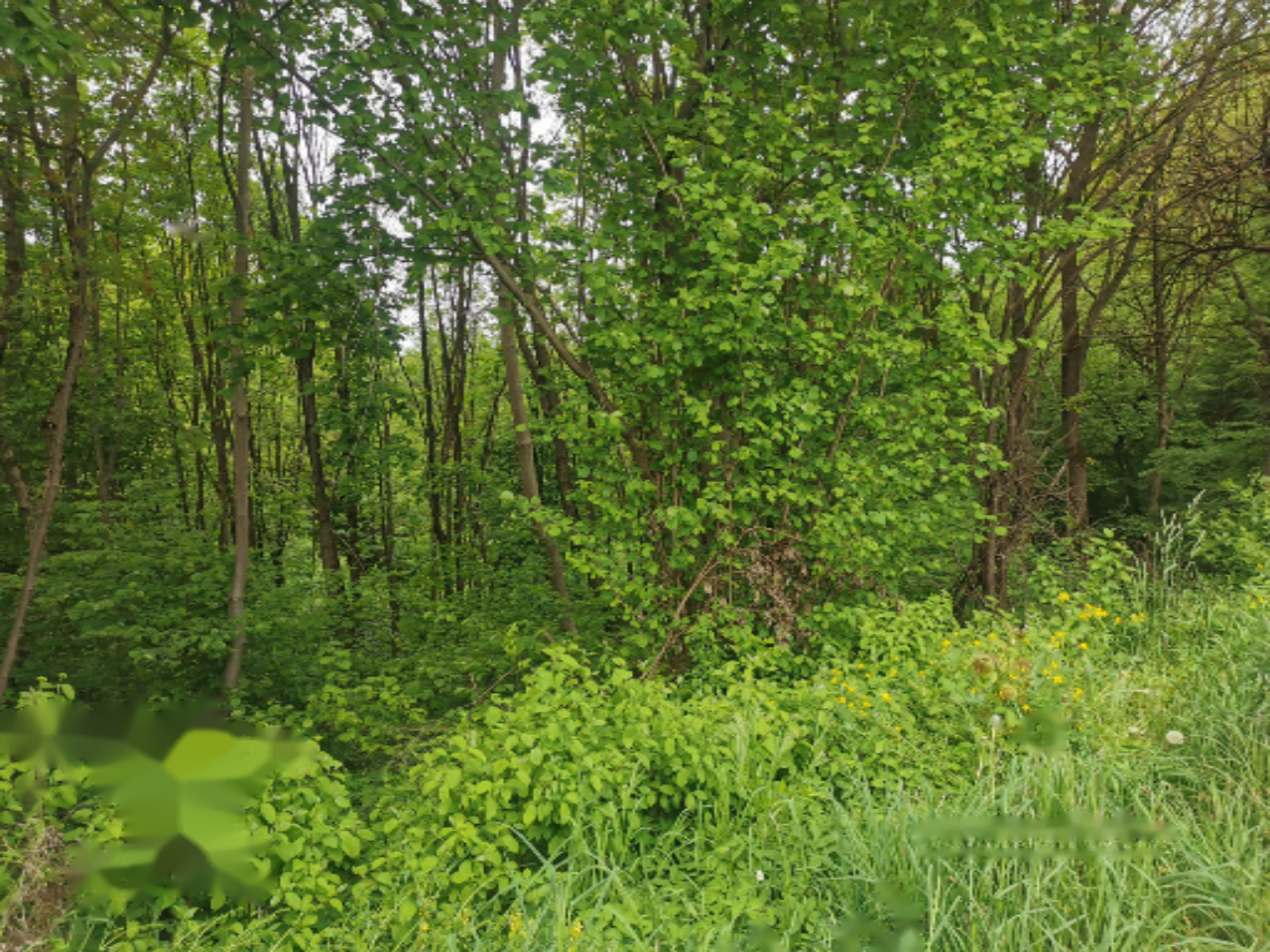 Дом в Ленарте, Словения, 79 м² - фото 15