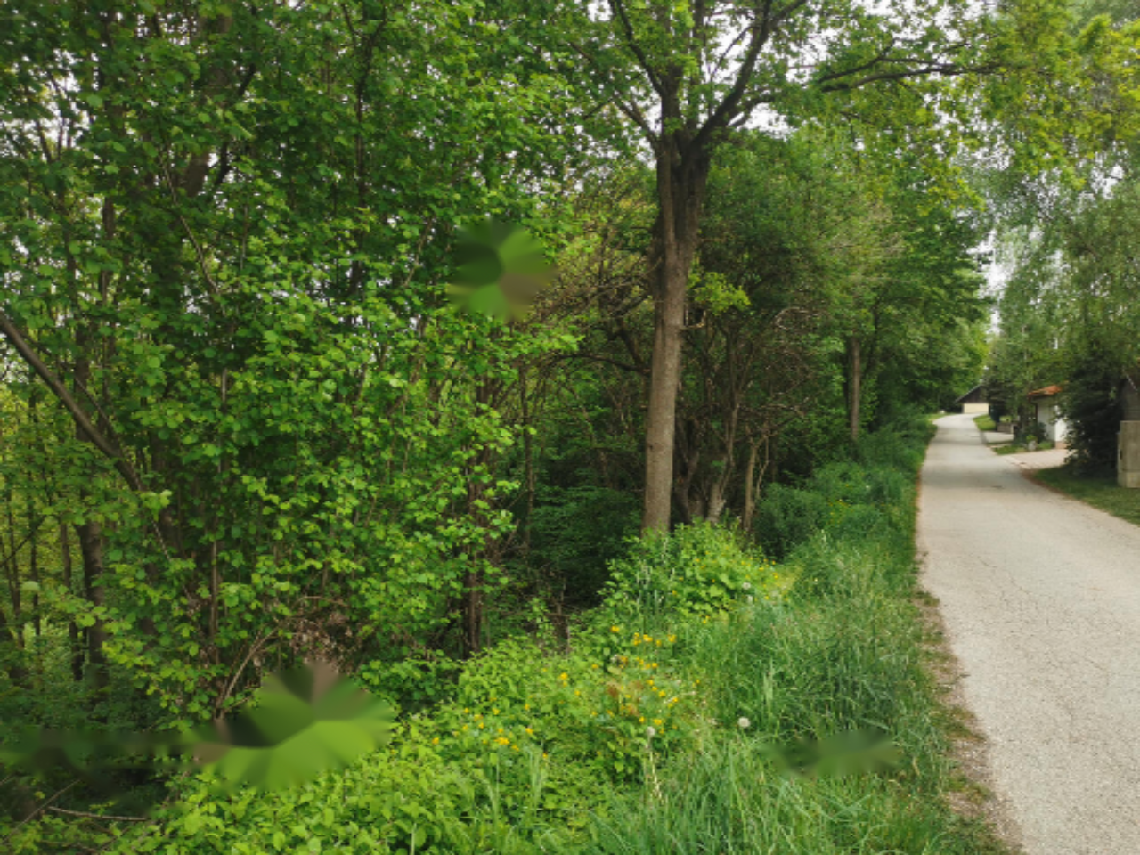 Дом в Ленарте, Словения, 79 м² - фото 16