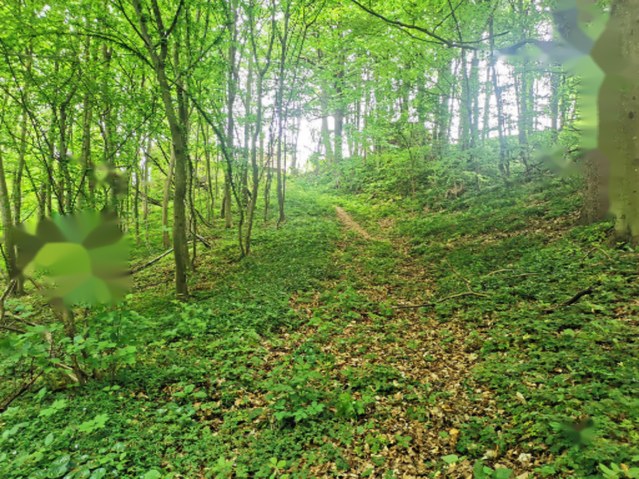 Дом в Ленарте, Словения, 79 м² - фото 18