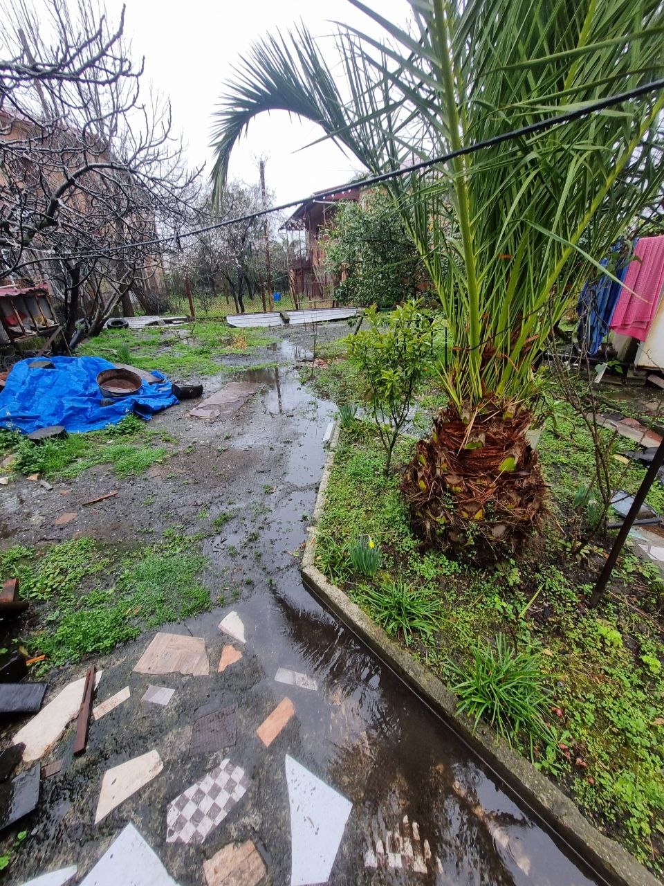 Дом в Поти, Грузия, 100 м² - фото 6