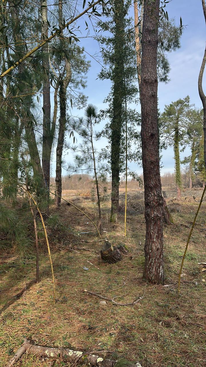 Земля в Кобулетском муниципалитете, Грузия, 1 000 м² - фото 1