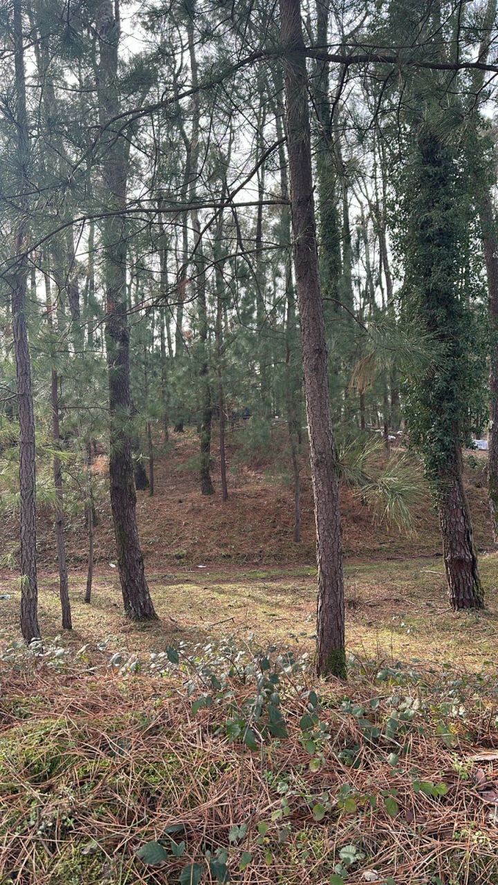 Земля в Кобулетском муниципалитете, Грузия, 1 000 м² - фото 5