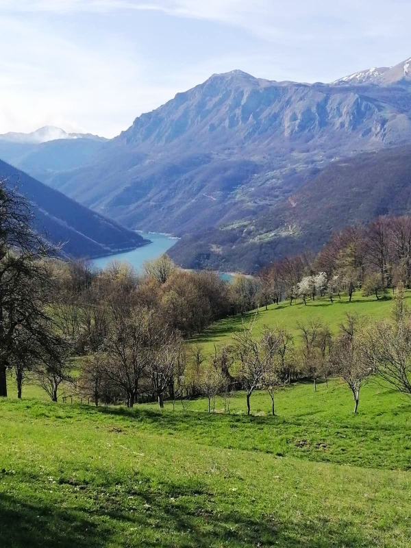 Земля в Плужине, Черногория, 16 149 м² - фото 1