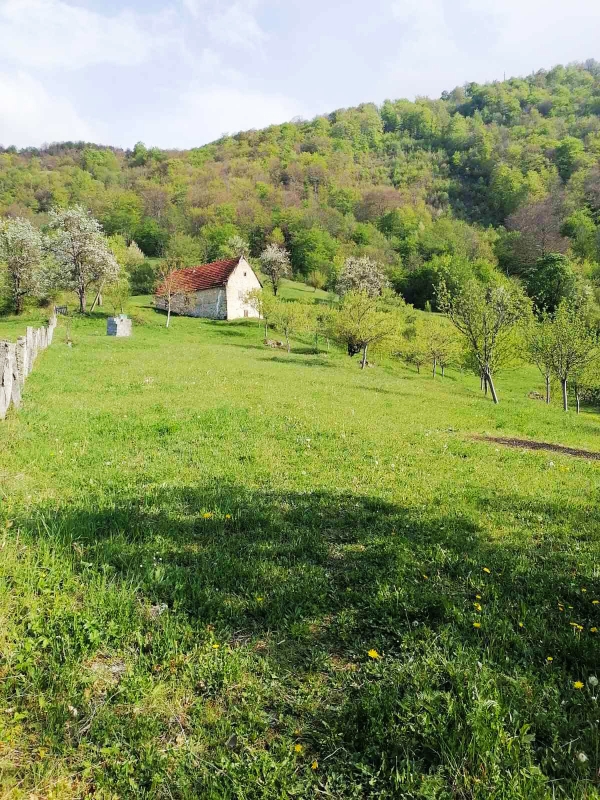 Земля в Плужине, Черногория, 16 149 м² - фото 3